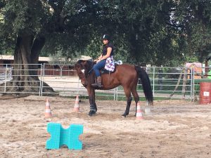 img_0900