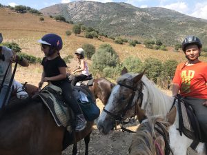 img_0887