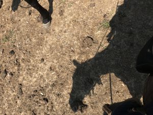 img_0900