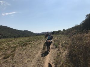 img_0905