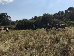 img_0910