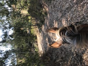 img_0919