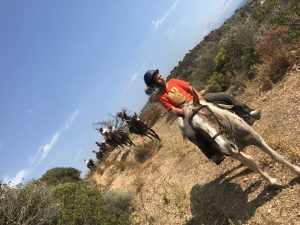 img_0940