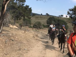 img_0946