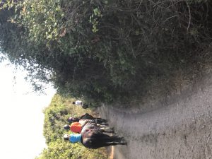 img_0960