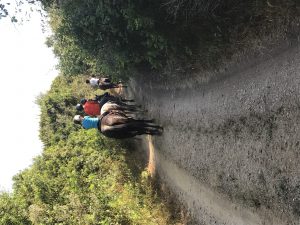 img_0962