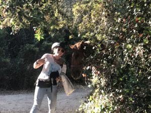 img_0972