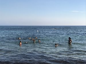 img_0979