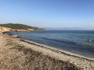 img_0983