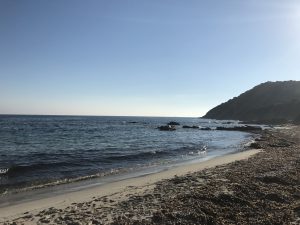 img_0984
