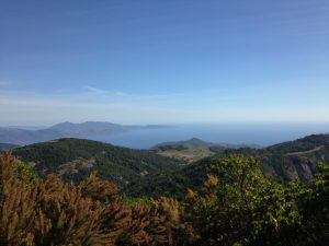 img_4050
