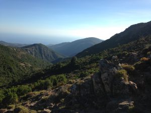 img_4114