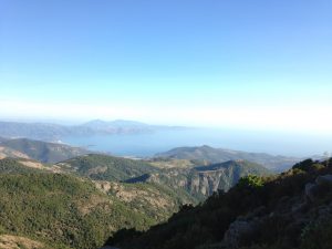 img_4122
