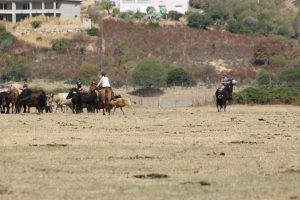 img_6410