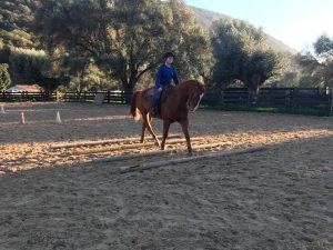 26168698_10211230928869184_6137903780086819895_n