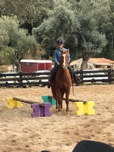 28280059_10211794341514148_5081857000809754122_n