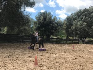 33540483_10214270217660888_6962008344613617664_n