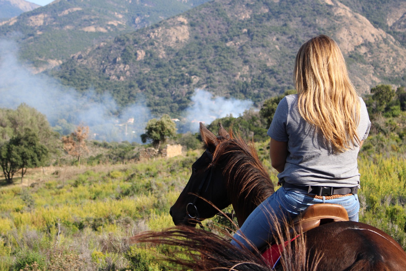 Cheval Ranch Les balades à cheval du CLG Ranch Sagone - Ranch Corse