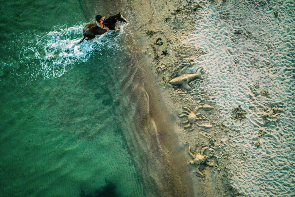 Balade à cheval dans l’eau turquoise au Ranch Cargèse en Corse