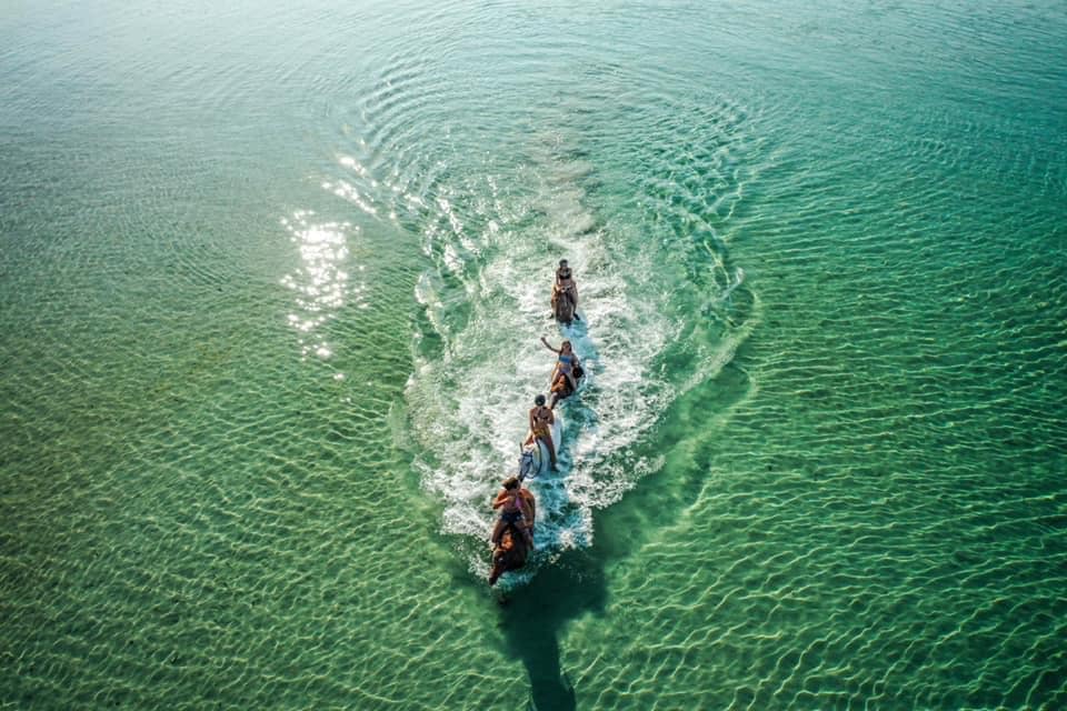 Tourisme équestre en Corse avec baignade à cheval