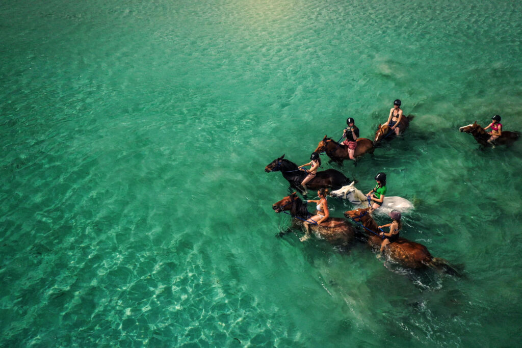 Centre équestre en Corse : cheval sur la plage au Ranch Cargèse