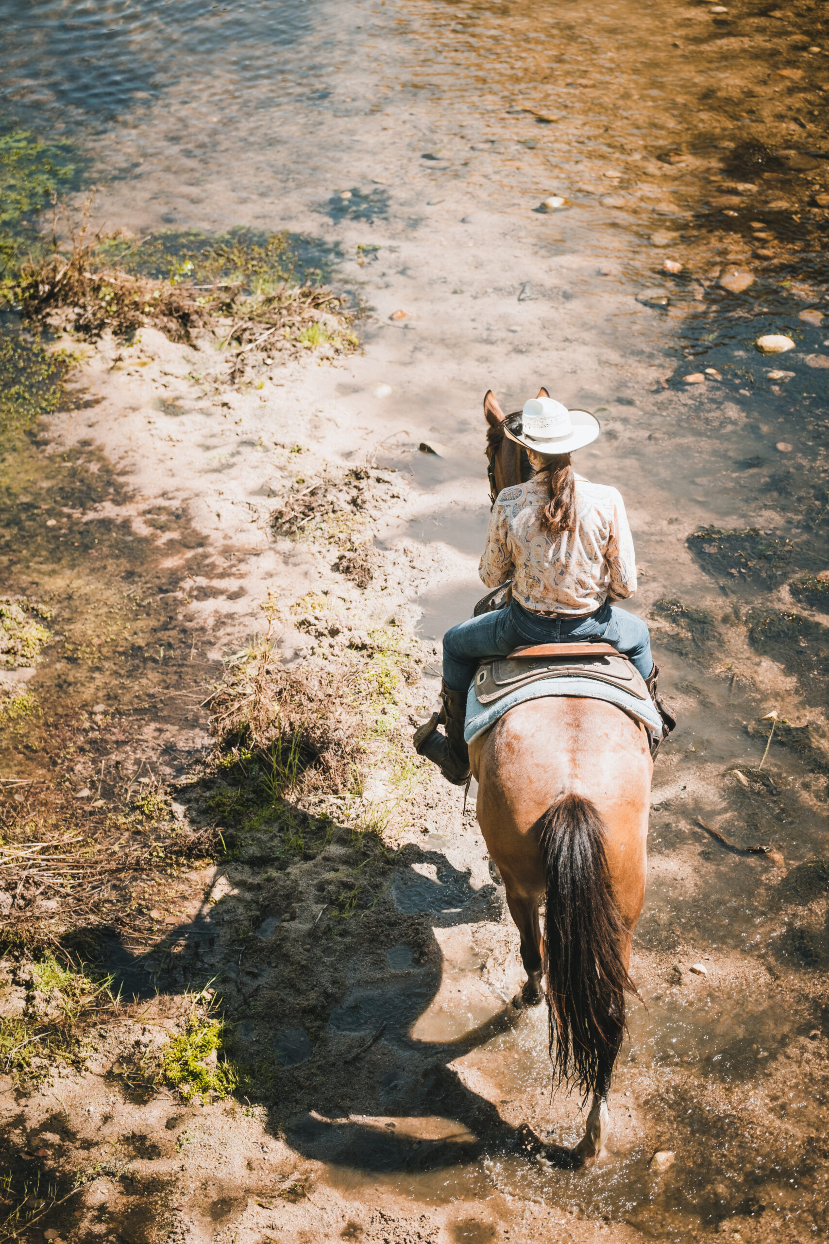 balade à cheval Sagone golfe rivière