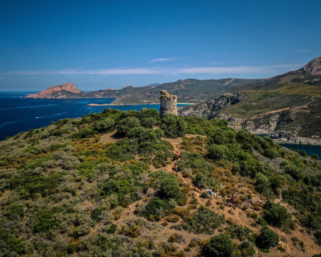 Plage d’Arone vue depuis un cheval lors de la balade Bella Vista