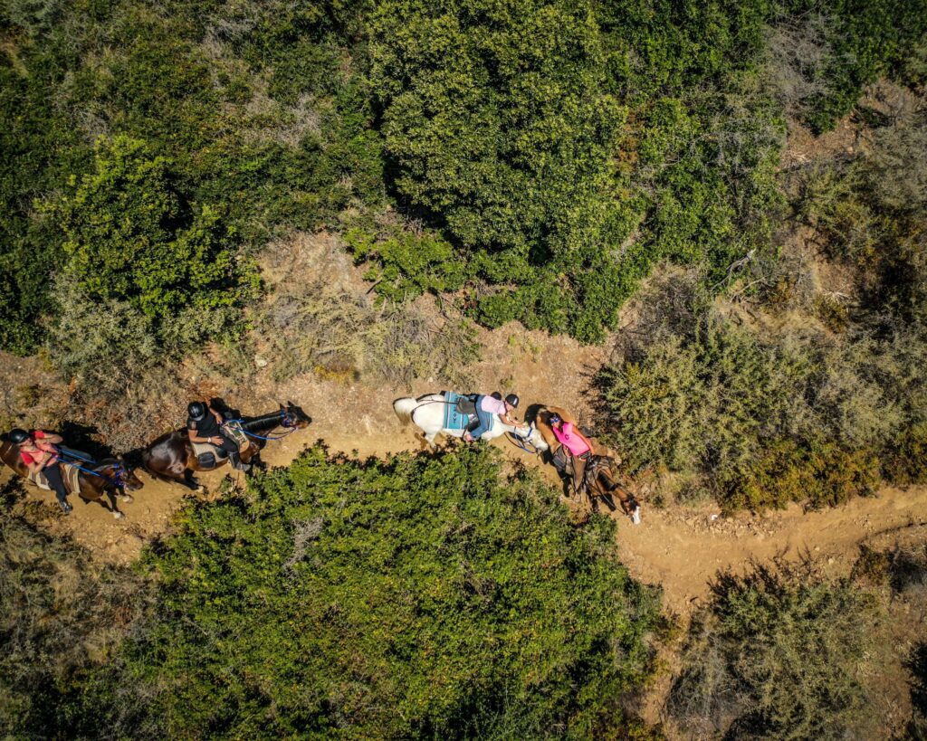 balade à cheval cargèse vue aérienne