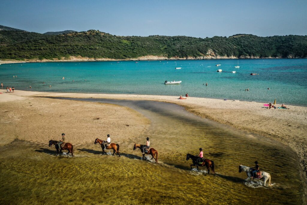 Vue sur la mer lors d’une balade à cheval à Cargèse