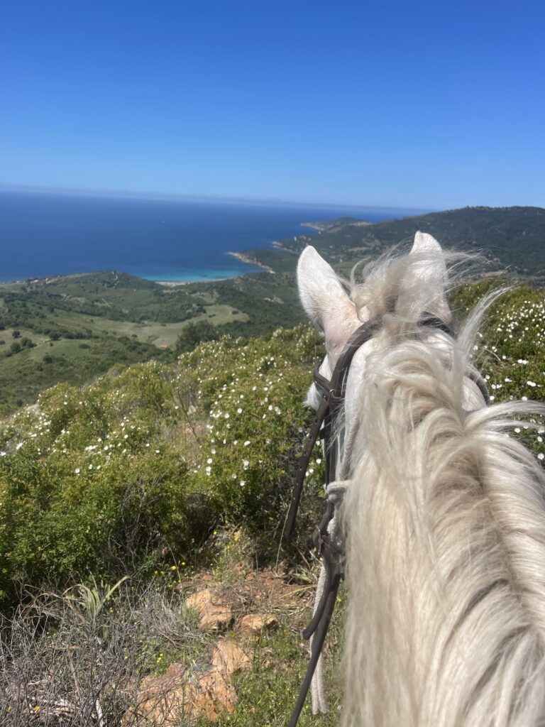 balade à cheval vue panoramique