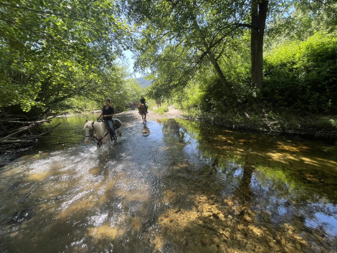 balade rivière 2 h à sagone