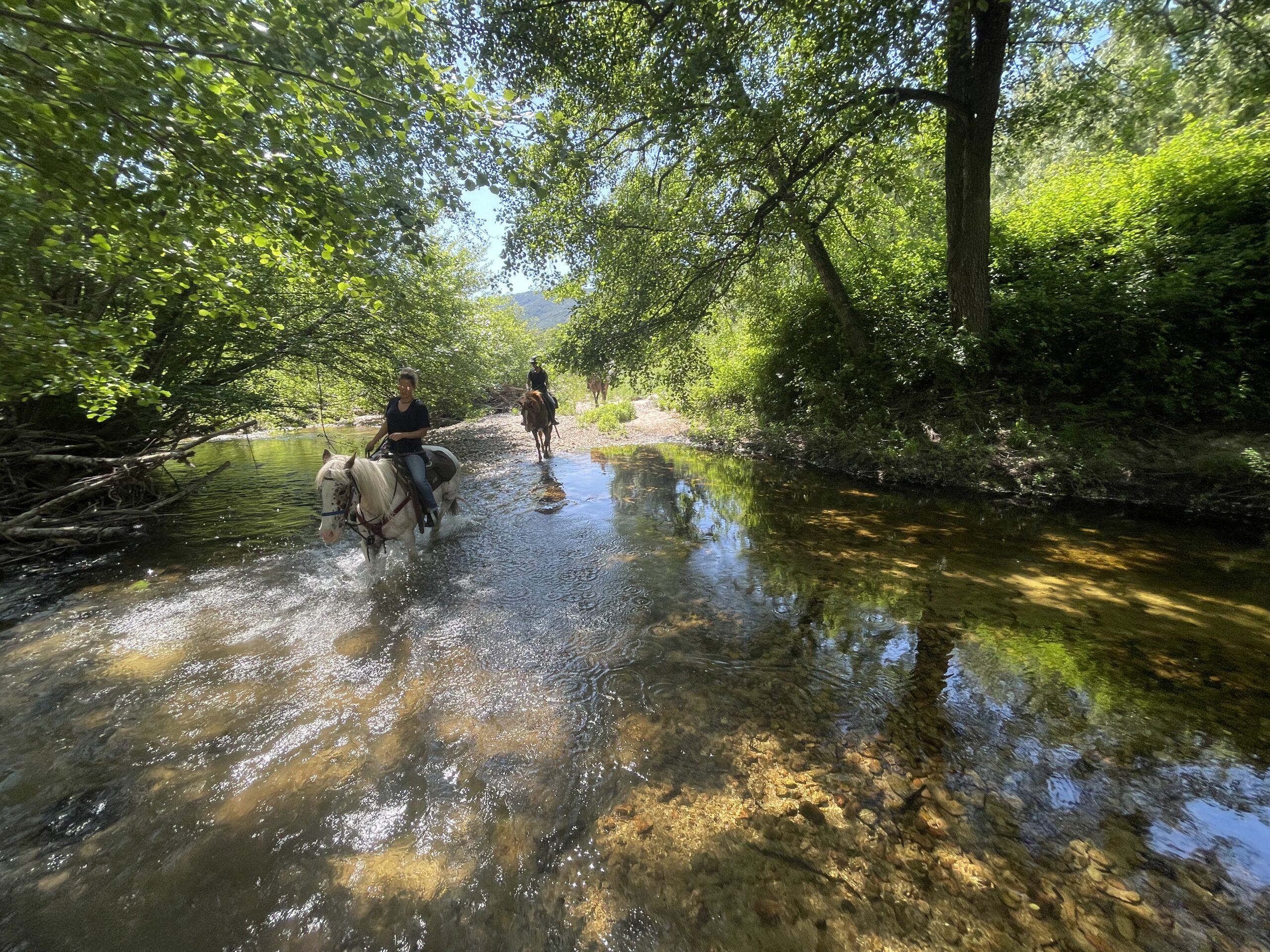balade rivière 2 h à sagone