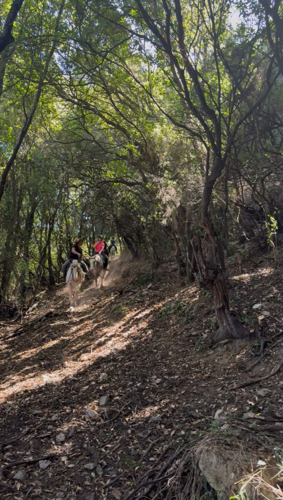 passage foret de la balade de 3 h