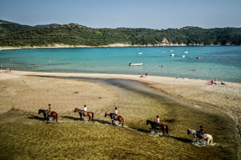 Cheval sur la plage de Cargèse pendant la balade nature