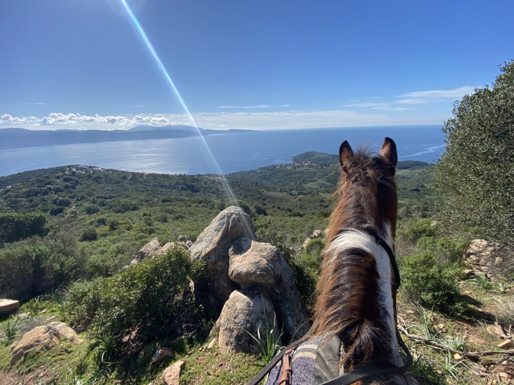 balade journée cheval Sagone vue mer