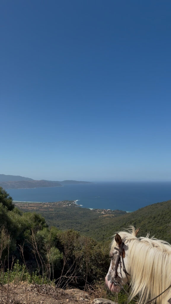 vue panoramique balade à cheval vue mer